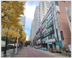  2024Ÿ569852 õ  204 26, 16 1613ȣ     Ʈ