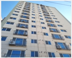  2024Ÿ575840 õ  21 26, 131303ȣ (,̽Ÿ2)     ǽڰ