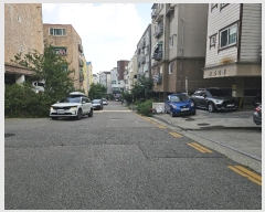  2024Ÿ��10176  �ټ���(����)���