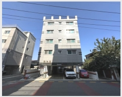  2024Ÿ13533 õ Ȧ 33 97, 4401ȣ (ȭ,ϴ)     ټ,