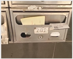  2024Ÿ514470 õ  224 12, 2202ȣ (˾ϵ,¿)     ټ,