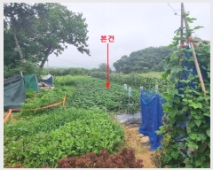  2024Ÿ��540301  �����