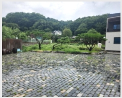  2024Ÿ��543737  �������