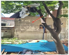  2024Ÿ544587 õ ߱ ߾ӵ3 4-54       ð