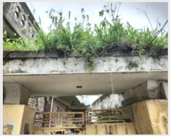  2024Ÿ��552878  ���ð��