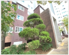  2024Ÿ560305 õ Ȧ  717, 110 1101ȣ (־ȵ,õѽ÷)    Ʈ