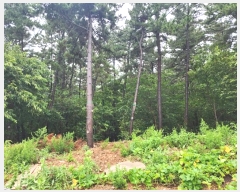  2024Ÿ��9206 ��õ ������ ����� ���縮 ��17      ����(�Ӿ�)���