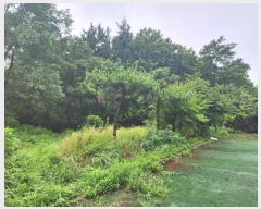  2024Ÿ��9206 ��õ ������ ����� ���縮 ��17      ����(�Ӿ�)���