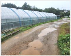  2024Ÿ��9206 ��õ ������ ����� ���縮 ��17      ����(�Ӿ�)���