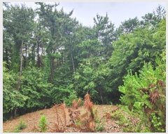  2024Ÿ��9206 ��õ ������ ����� ���縮 ��17      ����(�Ӿ�)���