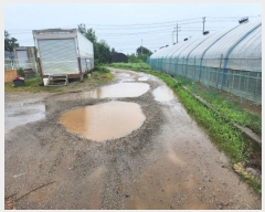  2024Ÿ��9206 ��õ ������ ����� ���縮 ��17      ����(�Ӿ�)���