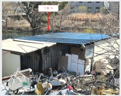  2024Ÿ518465 õ 籸  46-14       ,â