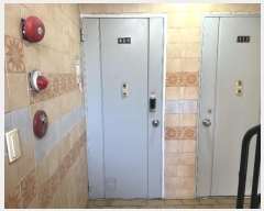  2024Ÿ524989 õ  24 5, 1 4409ȣ (ûõ,̵Ʈ)    Ʈ