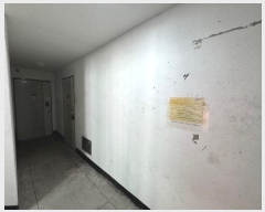  2024Ÿ��549117  �ټ���(����)���