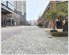  2024Ÿ��576447  ���ǽ��ڰ��