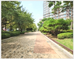  2024Ÿ��11117  ����Ʈ���