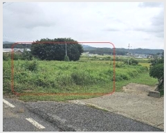  2024Ÿ12493 õ ȭ  ο 28      (1)