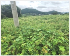  2024Ÿ12493 õ ȭ  ο 28      (1)