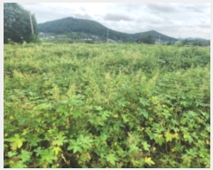  2024Ÿ12493 õ ȭ  ο 28      (1)