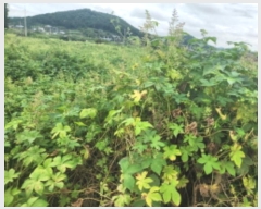  2024Ÿ12493 õ ȭ  ο 28      (1)