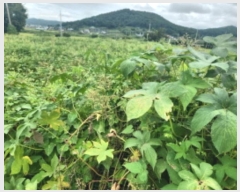  2024Ÿ12493 õ ȭ  ο 28      (1)