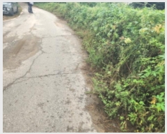  2024Ÿ12493 õ ȭ  ο 28      (1)