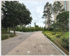  2024Ÿ553529 õ  ۵ȭ84 24, 202 343404ȣ (۵,۵Ǫ)    Ʈ