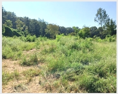  2024Ÿ��12196  ����������