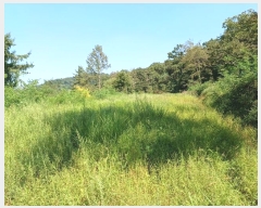  2024Ÿ��12196  ����������