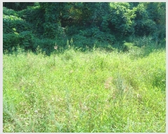  2024Ÿ��12196  ����������