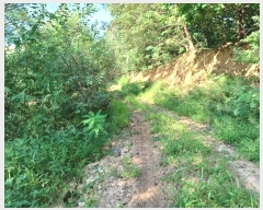  2024Ÿ��12196  ����������