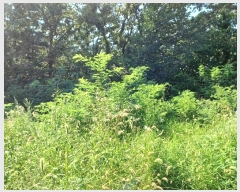  2024Ÿ��12196  ����������