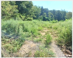  2024Ÿ��12196  ����������