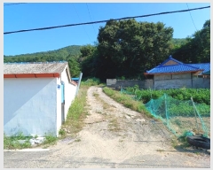  2024Ÿ��12196  ����������