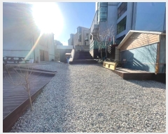  2024Ÿ��16464  ���ΰ��