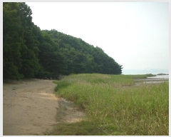  2024Ÿ��539691 ��õ ��ȭ�� ���� ���˸� ��134      ����(�Ӿ�)���