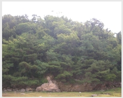  2024Ÿ��539691 ��õ ��ȭ�� ���� ���˸� ��134      ����(�Ӿ�)���