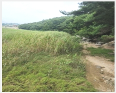  2024Ÿ��539691 ��õ ��ȭ�� ���� ���˸� ��134      ����(�Ӿ�)���