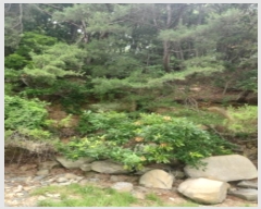  2024Ÿ��539691 ��õ ��ȭ�� ���� ���˸� ��134      ����(�Ӿ�)���