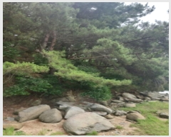  2024Ÿ��539691 ��õ ��ȭ�� ���� ���˸� ��134      ����(�Ӿ�)���