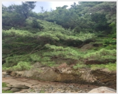  2024Ÿ��539691 ��õ ��ȭ�� ���� ���˸� ��134      ����(�Ӿ�)���