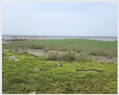  2024Ÿ��539691 ��õ ��ȭ�� ���� ���˸� ��134      ����(�Ӿ�)���