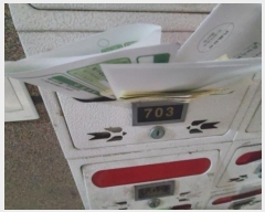  2024Ÿ551387 õ  24 53, 7703ȣ (,)     Ȱð