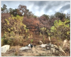  2024Ÿ��570906 ��õ ��ȭ�� ���� ���˸� ��59      ����(�Ӿ�)���