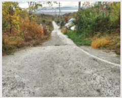  2024Ÿ��570906 ��õ ��ȭ�� ���� ���˸� ��59      ����(�Ӿ�)���