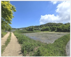  2024Ÿ7002 õ    1386      ()