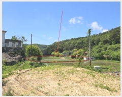  2024Ÿ7002 õ    1386      ()