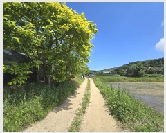  2024Ÿ7002 õ    1386      ()