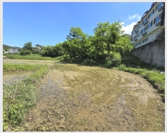  2024Ÿ7002 õ    1386      ()