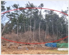  2024Ÿ508147 õ  ڿ º 124      (Ӿ)